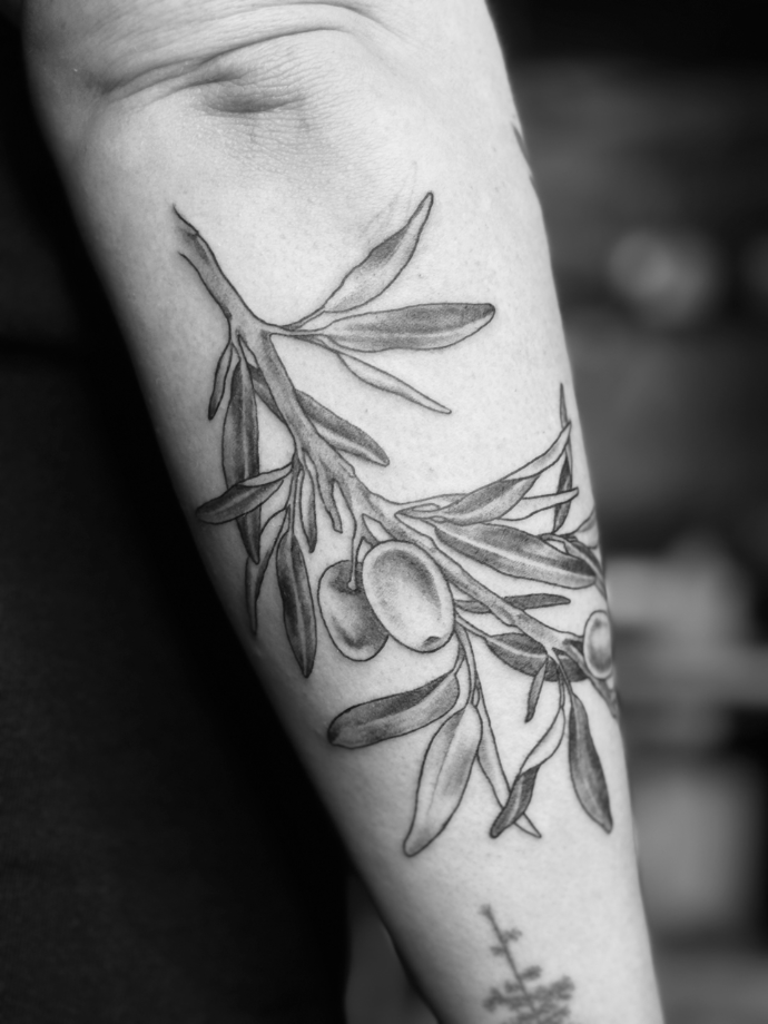 olive branch tattoo in illustrative style