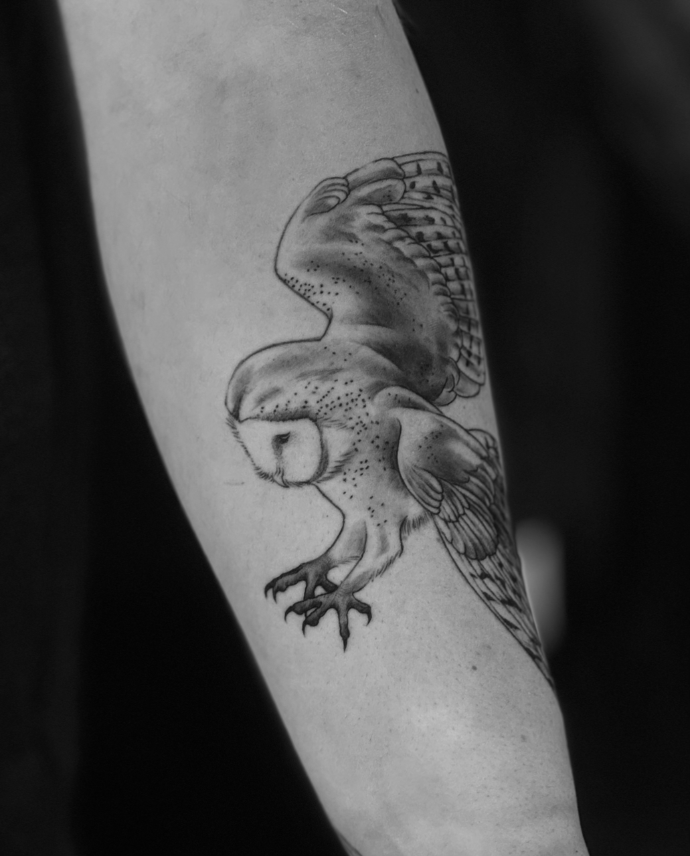 owl tattoo in realism style